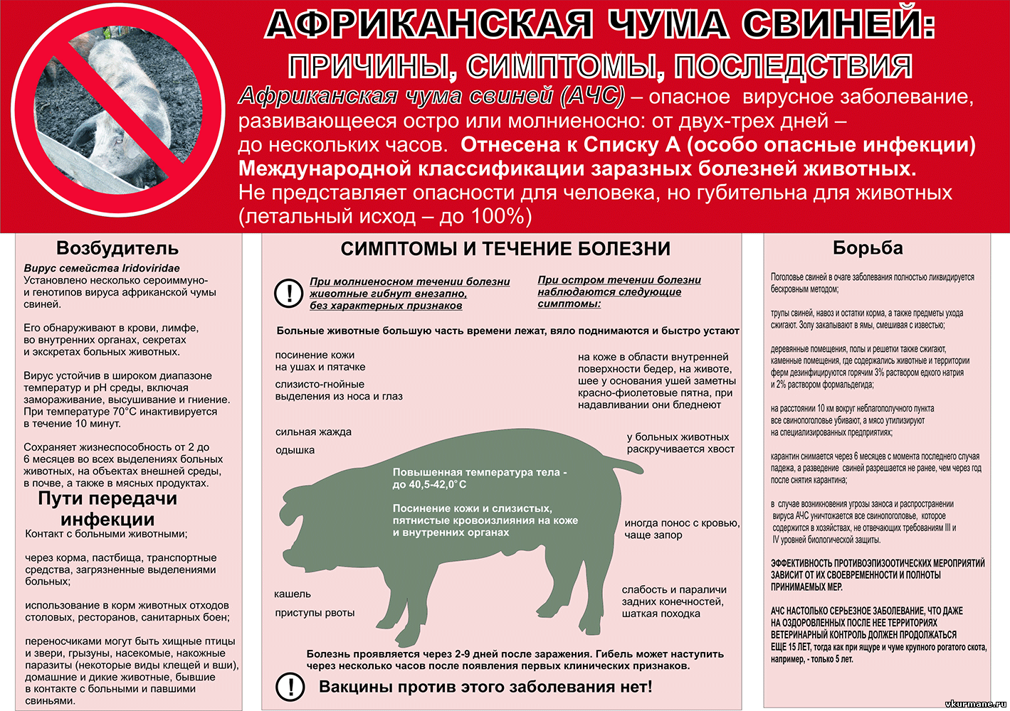 Что нужно знать об опасном вирусе.