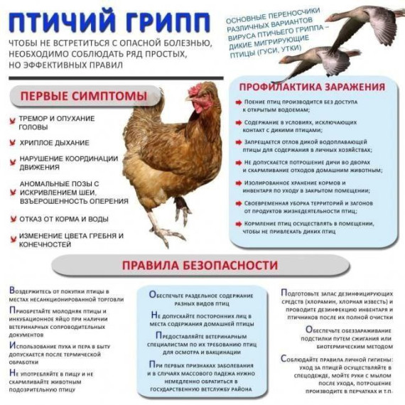 Чтобы не встретиться с опасной болезнью,необходимо соблюдать ряд простых, но эффективных правил. Чтобы не встретиться с опасной болезнью,необходимо соблюдать ряд простых, но эффективных правил.