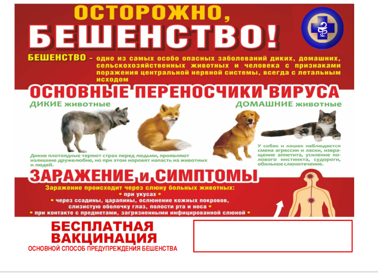 Осторожно! Бешенство!. Осторожно! Бешенство!.