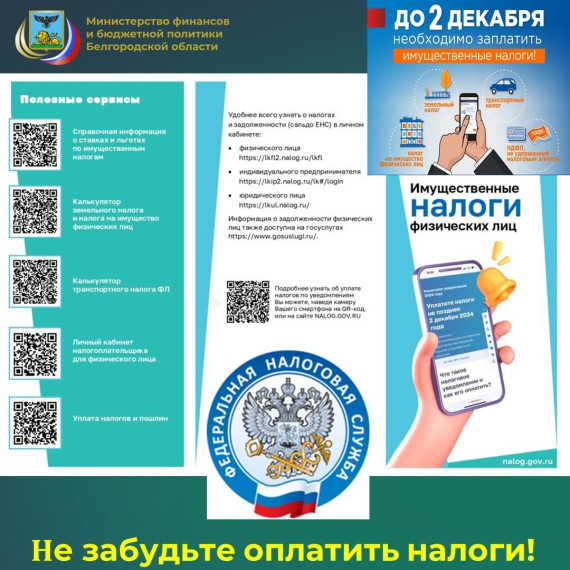 1 декабря 2024 года-последний уплаты налогов!. 1 декабря 2024 года-последний уплаты налогов!.